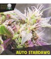 Auto Stardawg fem. Black Skull Seeds