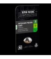 Auto Afghan Pearl CBD  5 u. fem. Sensi Seeds Research