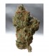 Cold Creek Kush  10 u. reg. T.H. Seeds