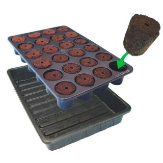 Kit Bandeja y Base 24 u. 38x24x18.5 Natural Rooting Sponge Rootit