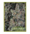 Kalichakra  10 u. reg. Mandala Seeds