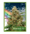 Mandala N1 -  10 u. reg. Mandala Seeds