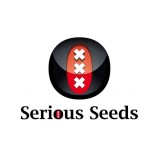 SERIOUS SEEDS