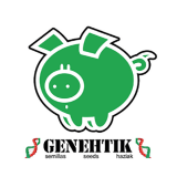 GENEHTIK SEEDS