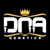 DNA GENETICS