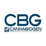 CANNABIOGEN SEEDS REGULARES