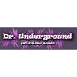 DR UNDERGROUND