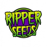 RIPPER SEEDS