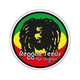 REGGAE SEEDS REGULARES