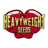 HEAVYWEIGHT SEEDS