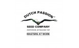 DUTCH PASSION