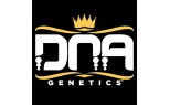 DNA GENETICS