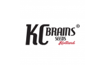 K.C. BRAINS